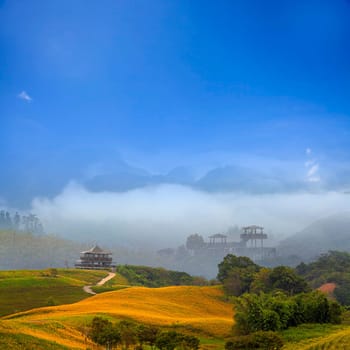 Beautiful landscape for adv or others purpose use