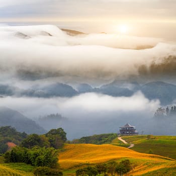 Beautiful landscape for adv or others purpose use