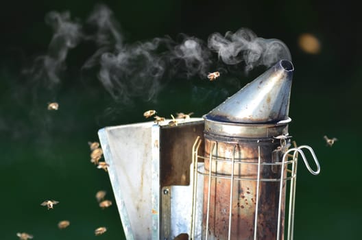 bee smoker