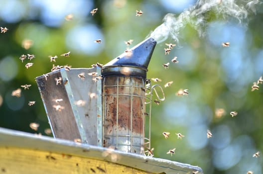 bee smoker