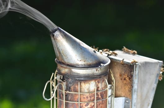 bee smoker