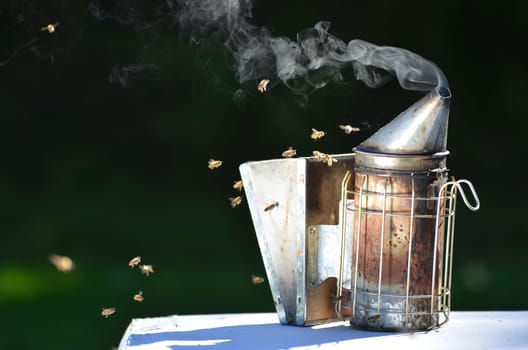 bee smoker