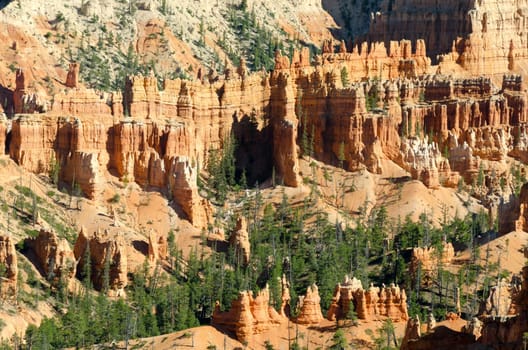 Bryce Canyon National Park in Utah in America