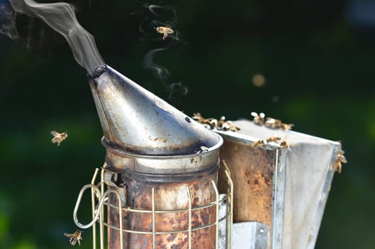 bee smoker