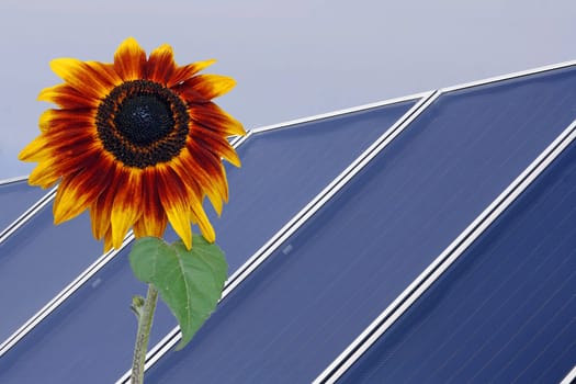 Solar energy and nature
