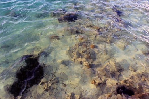 sea beah at sun light
