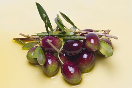 Olives covered in oil over a white basckground.