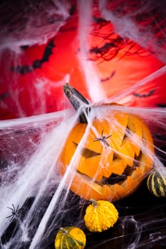 Halloween pumpkin Jack, spider web