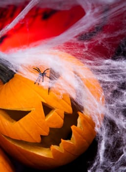 Scary Jack, halloween pumpkin and spider