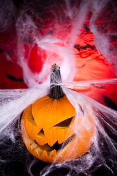 Spider web, Halloween pumpkin Jack