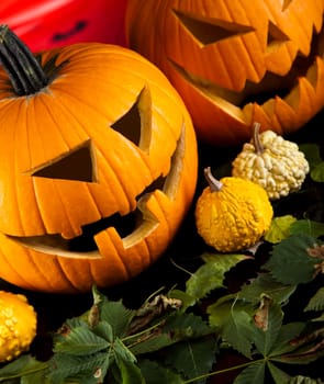 Pumpkins for Halloween