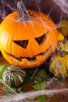 Pumpkins for Halloween