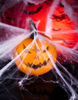 Spider web, Halloween pumpkin Jack