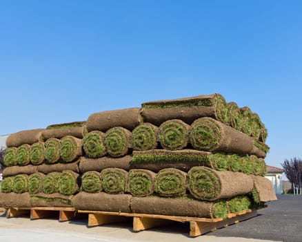 stacks of sod