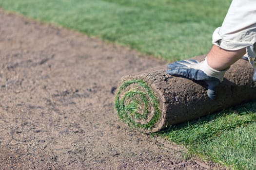 installing new sod