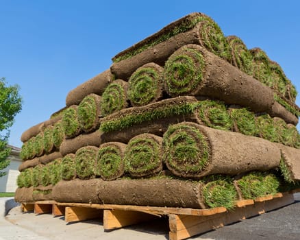 stacks of sod
