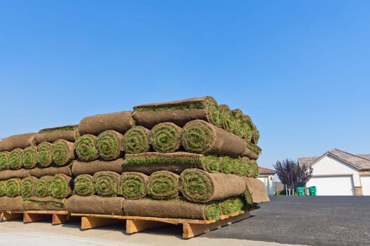 stacks of sod