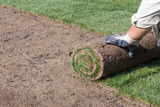 installing new sod