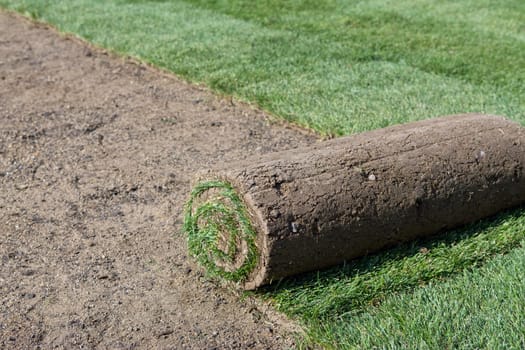 rolled sod