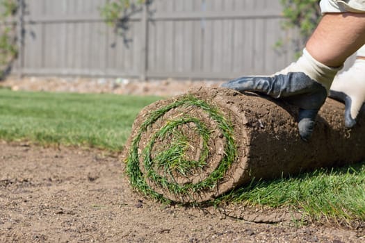 installing new sod