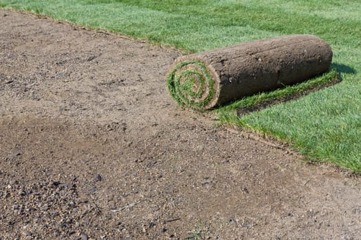 rolled sod