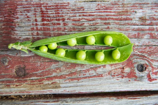 Green pod with many ripe peas on table