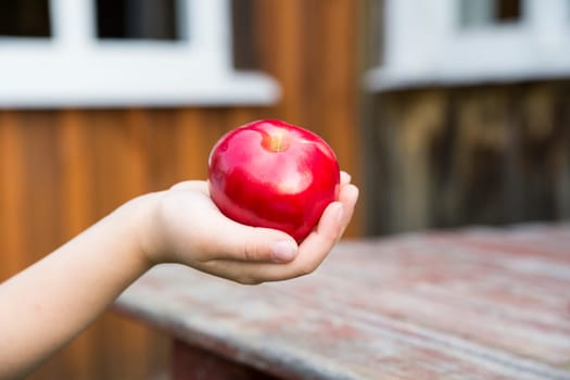 Zoomed ripe red apple at child soft hand