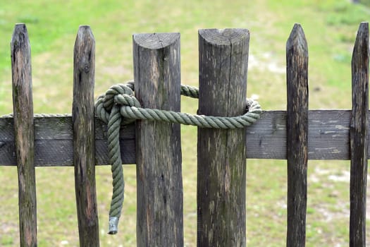 Garden fence