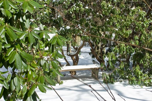 Winter around Bad Wildungen