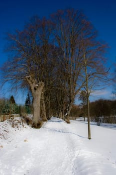 Winter around Bad Wildungen