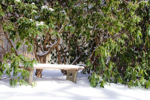 Winter around Bad Wildungen