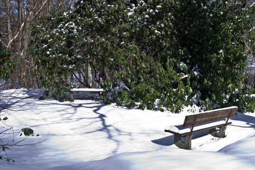 Winter around Bad Wildungen