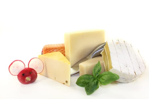 different cheeses against a white background