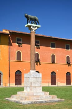 The statue of she-wolf on Square of Miracles in Pisa, Italy