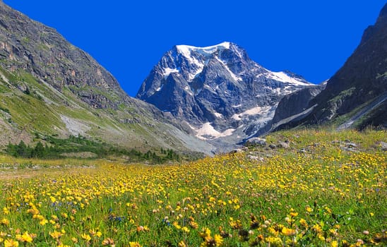 Mont Collon in summer splendour