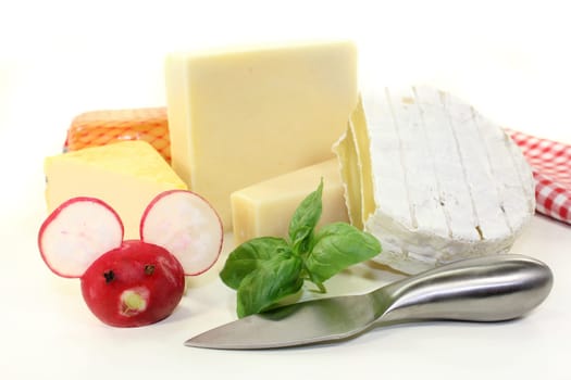 different cheeses against a white background