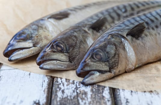 Still life mackerel fish on an old wooden table