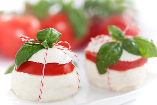 Italian Buffalo Mozzarella with Basil and Tomato