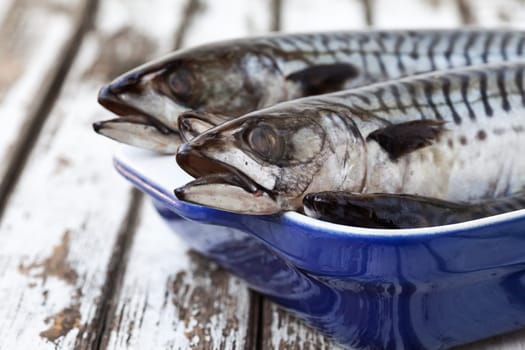 Still life mackerel fish on an old wooden table