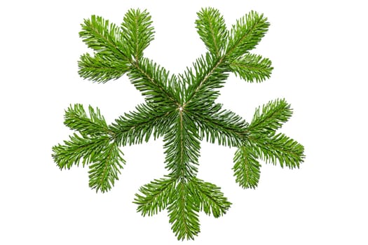 Fir branches form a star-shaped pattern