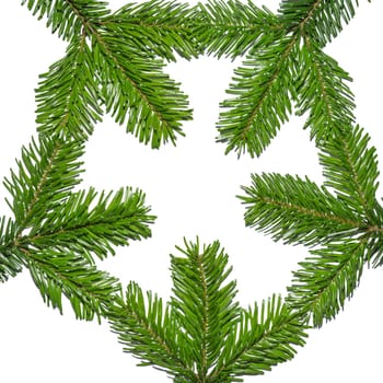 Fir branches form a star-shaped pattern