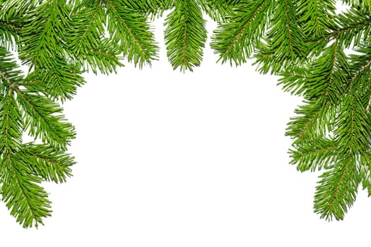 Fir branches at the top of the picture with free text space