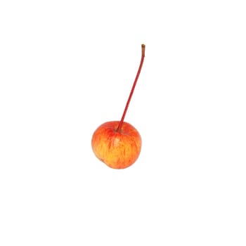 Single crab apple, isolated on a white background