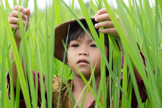 Girl in the rice field,small child in the tall grass