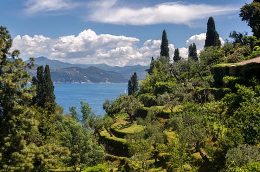 landscape between the sea and trees in Portofino