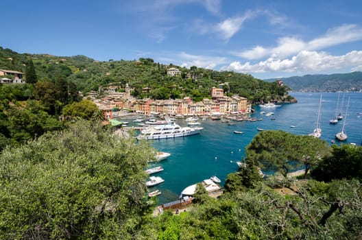 landscape between the sea and trees in Portofino