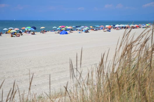 Picturesque view on Italian sandy beach Marina di Vecchiano nearby Pisa, Tuscany – Italy