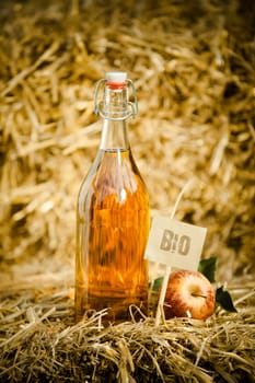 A bottle of natural apple cider vinegar next to a fresh apple on straw, tagged as 'bio' product