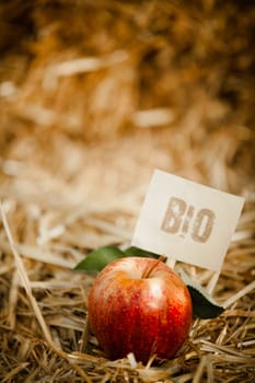 Close-up of tasty red apple on straw, tagged as 'bio' product