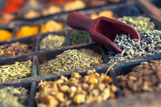 Close-up of different Spices and herbs including Lavender.
